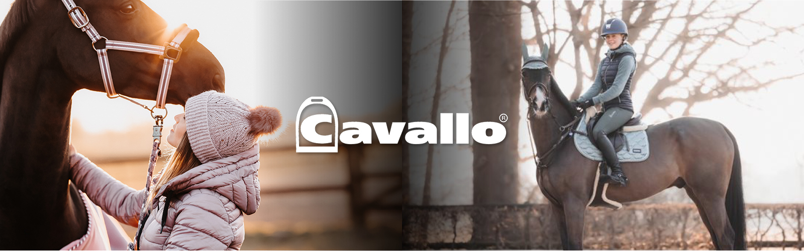 Cavallo